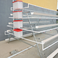 Système de pondeuses de volaille de type A Cage de poulet de chair nouvelle condition pour la ponte des œufs pour les poulets et les fermes