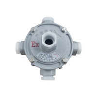Boîtier de jonction antidéflagrant avec presse-étoupe DN20 traversant G3/4 en alliage d'aluminium, protection IP65/IP66, application IIC/IIB/IIA