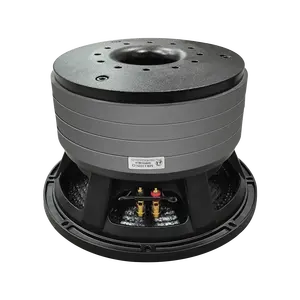 Telaio in alluminio 253 12 pollici PD con nucleo magnetico 125 4 pezzi con anello in ferrite subwoofer