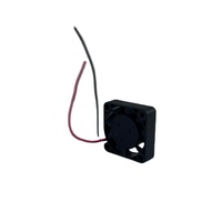 Ventilateur de refroidissement micro DC 2507 1 pouce 5V 12V 25x25x7mm, ventilateur à moteur sans balais DC pour mini PC, tablette industrielle