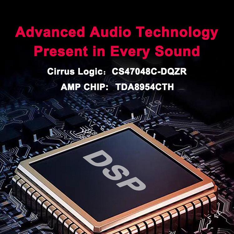 AudioWinner T810.8L OEM 10チャンネルサウンドデジタル信号