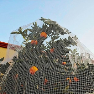 <span class=keywords><strong>Polyethylene</strong></span> PE Nhựa Nông Nghiệp Bird Lưới Lưới Chống-Bird Warp Đan Net Cho Vườn Trang Trại Orchard Vineyard Bảo Vệ - Product Image 2