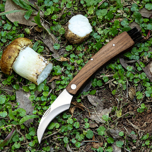 Outil professionnel pour la cueillette des champignons, couteau à truffes en bois, couteau à champignons pliable pour le camping avec brosse - Product Image 5