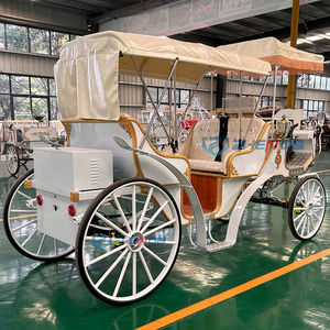 Carros y Carruajes Eléctricos para Caballos, Carruajes Turísticos Personalizados en Venta, Precio de Carruajes Tirados por Caballos - Product Image 5