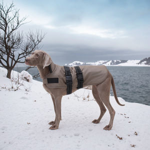 Chaqueta impermeable para perros con calefacción, abrigo cálido de invierno para perros grandes, ropa de diseñador para mascotas - Product Image 1