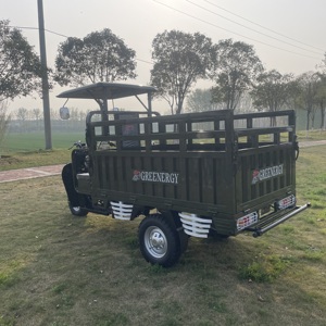 Triciclo de servicio pesado de 250cc con <span class=keywords><strong>3</strong></span> ruedas, cuerpo abierto, eléctrico, motorizado, de pasajeros y carga, gran oferta en China - Product Image 3