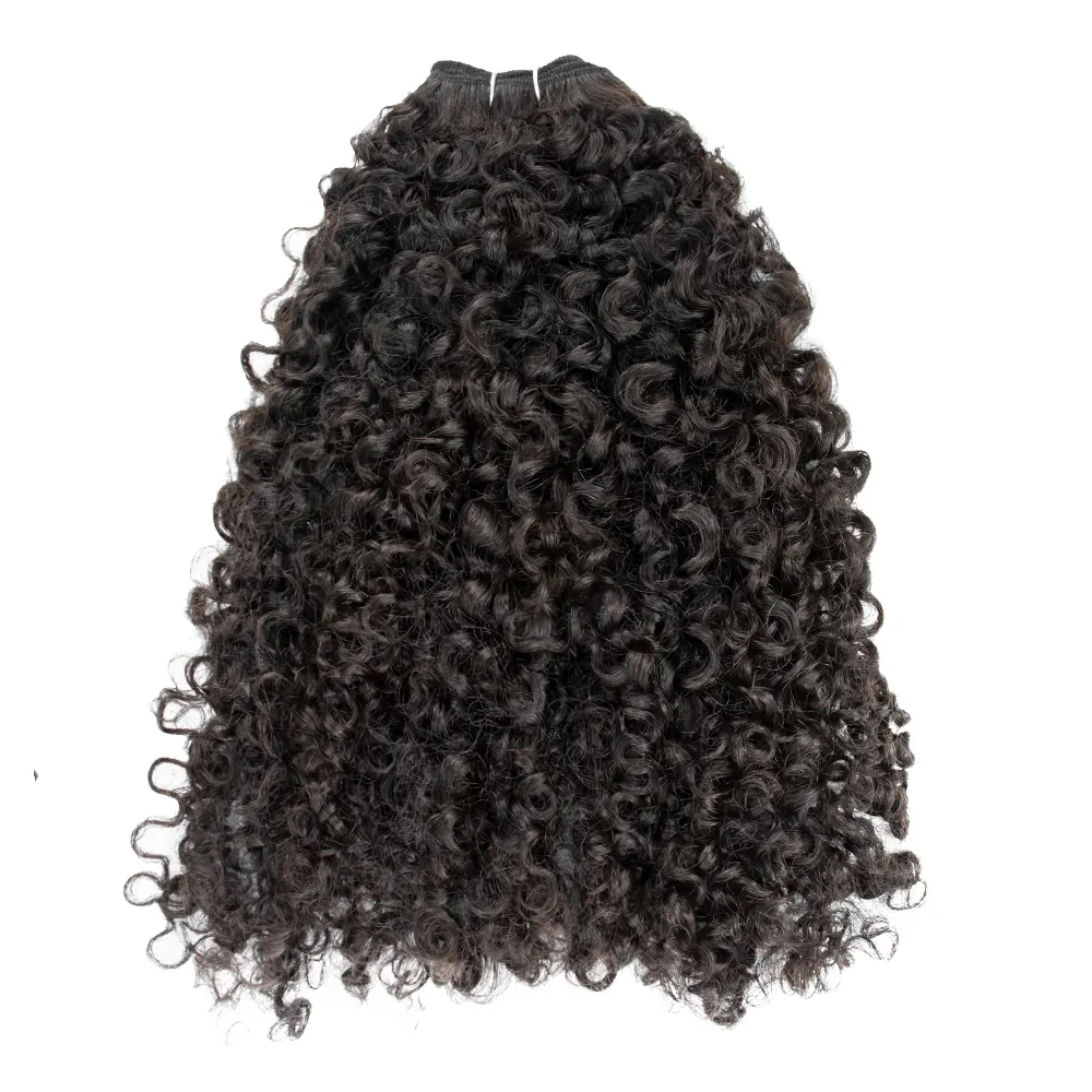 Mechones de pelo brasileño rizado Birmano para mujer negra, cabello humano virgen, cutícula, Aligend, Remy