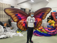Modèle de papillon volant gonflable décoratif de fête de Club pour la Performance sur scène