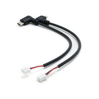 Câble d'alimentation USB-C mâle à angle droit 90 degrés vers XH2.54 2P, 200 mm, noir, avec borne 2 broches, faisceau de câbles de longueur personnalisée
