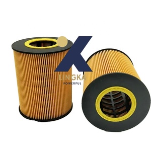 ไส้กรองน้ำมันเครื่องยนต์ดีเซลสำหรับรถบรรทุก รุ่นใหม่จากโรงงานโดยตรง E13HD47 P550765 LF3867 HU1381x FO-ECO002 - Product Image 1