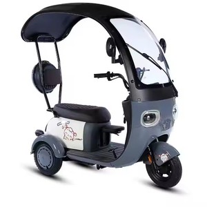 Adulte <span class=keywords><strong>3</strong></span> <span class=keywords><strong>roues</strong></span> mobilité <span class=keywords><strong>électrique</strong></span> Trike <span class=keywords><strong>Scooter</strong></span> <span class=keywords><strong>avec</strong></span> <span class=keywords><strong>toit</strong></span> Tricycle <span class=keywords><strong>électrique</strong></span> pour passagers - Product Image 3