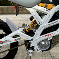 Nouvelle moto électrique tout-terrain 79Bike Falcon GT 2025, puissante, 16,8 kW, 72 V, 40 Ah, course hors route, VTT, obtenez le dernier prix