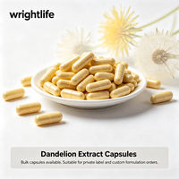 Capsules d'extrait de pissenlit, complément alimentaire à base de plantes, formule personnalisée en marque blanche, capsules en vrac pour femmes adultes
