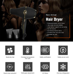 लिलिप्रो HD-2690 गोल्ड बटन 2100w सुपर इलेक्ट्रिक हेयर ड्रायर पेशेवर सैलून हेयर ड्रायर - Product Image 3