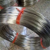Fil de ressort en acier inoxydable étiré SS 201 302 304H 316 0,6 mm 0,8 mm 1 mm 2 mm