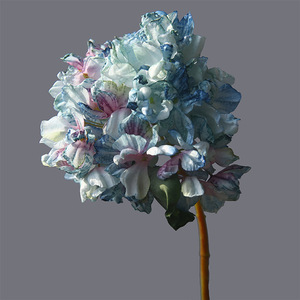 Sống động như thật 36cm rượu vang màu cam nhân tạo hydrangeas bán buôn số lượng lớn duy nhất thân cây hoa lụa cho trang trí sang trọng nhà hiện đại - Product Image 5
