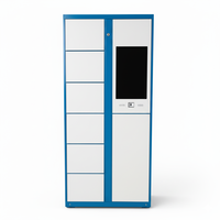 Casillero Inteligente Electrónico para Limpieza de Calzado, Construcción de Acero, Tamaño Personalizable, para Apartamentos, Comunidades, Dormitorios, Pedidos en la Nube, Resistente a la Oxidación