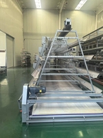 Cage à batterie pour poules pondeuses, qualité export, fabricant d'équipements avicoles, fabricant de grillage métallique