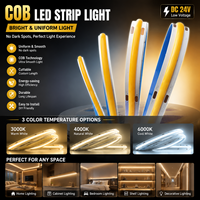 Bandes LED flexibles DC 24V 10mm 320 LED/m IP20 avec télécommande, ruban PCB flexible, CRI 90 élevé, dimmable pour usage résidentiel et vente en gros