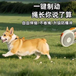 Retractable <b>Dog</b> <b>Leash</b> With One Button Brake Automatic Medium Size Pet Lead For <b>Dogs</b> - Product Image 5
