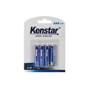 1.5V AAA And AA Alkaline Battery Dry Cell Battery Aaa Am4 Lr03 Alkaline Battery