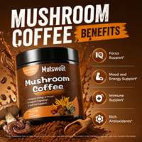 10-in-1 Pilz-Kaffeepulver Löwenmähne Chaga Reishi Cordyceps Funktionskaffee Nootropisches Adaptogen Instantkaffee OEM