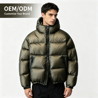 Veste d'hiver pour homme en nylon enduit, à capuche et fermeture éclair, 90% duvet, garnissage 150g-200g, imperméable, style vintage, vente en gros