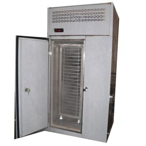 Tunnel de réfrigérateurs de crème glacée Congélateur à viande - Product Image 1