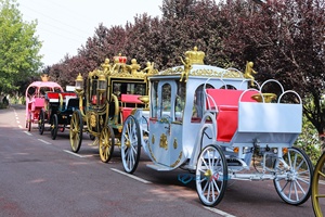 Calèche électrique de mariage, calèche royale à chevaux à vendre, transport spécial, calèche électrique de tourisme pour mariage, personnalisable - Product Image 2