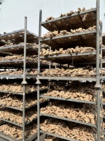 Afrika Nigeria Ghana Kenya Distributor Pasokan Pengiriman Kontainer Pemuatan Karung Goni Program Grosir Jahe Segar Massal