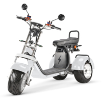 Scooter électrique à trois roues 2026, unisexe, pliable, étanche, batterie au lithium, tricycle cargo, 3 roues, autonomie de 60 à 80 km