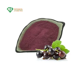 Pure natural currant juice powder, black currant extract powder, Anthocyanins