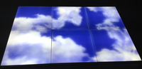 Plafonnier LED Panneau Lumineux Effet Ciel Artificiel 600x600mm
