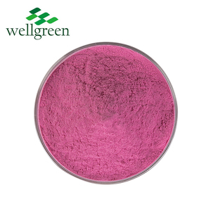 Wellgreen Bulk Suplemento Extrato De Beterraba Em <span class=keywords><strong>P</strong></span>ó Matéria-prima Alimentar Beterraba Em <span class=keywords><strong>P</strong></span>ó - Product Image 2