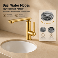 Robinet de lavabo monotrou en acier inoxydable 304 doré brossé, mitigeur de salle de bain moderne