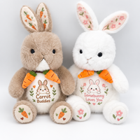 Peluche Lapin Carotte Personnalisée, Adorable Animal en Peluche Lapin, Poupée Douce avec Motif Imprimé, Cadeau pour Enfants, Fabricant OEM ODM