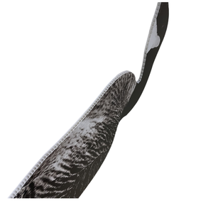 Décoy de chasse <span class=keywords><strong>Canada</strong></span> <span class=keywords><strong>Goose</strong></span> en plastique ondulé de 5 mm, impression recto-verso, avec piquets métalliques – Offre spéciale - Product Image 4