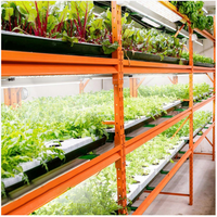 Panneau lumineux LED à spectre complet personnalisé de 46 W pour la croissance des plantes d'intérieur et des semis