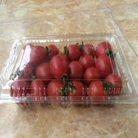 Wegwerp transparante 4.4 oz blauwe bes plastic clamshell punnet 125g plastic kersen blisterverpakking voor vers fruit
