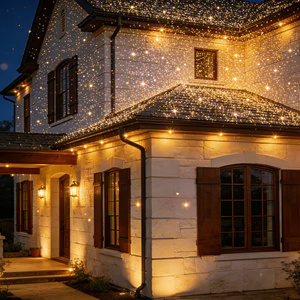 Lumière laser à logo personnalisé, effet ciel étoilé, <span class=keywords><strong>IP65</strong></span>, 20W, AC100-240V, publicité commerciale pour l'éclairage paysager des parcs - Product Image 2
