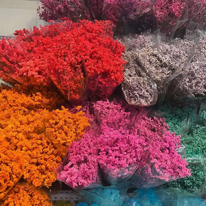 Flores Decorativas, <span class=keywords><strong>Limonium</strong></span> Preservado, Flores Secas, Hierba de Cristal Eterna para Decoración del Hogar - Product Image 4