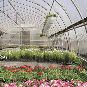 Film PE anti-UV AGG blanc jaune <span class=keywords><strong>200</strong></span> <span class=keywords><strong>microns</strong></span> <span class=keywords><strong>pour</strong></span> couverture de <span class=keywords><strong>serre</strong></span> agricole - Product Image 5