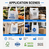 Bolsas de Compras de Plástico PET/PE Biodegradables con Logotipo Personalizado y Asas Impresas para Ropa, Supermercados y Tiendas Minoristas