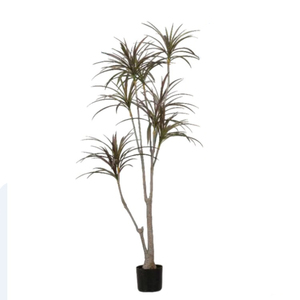 ต้นมะพร้าวประดิษฐ์บอนไซและพืชเผือก-ของตกแต่งในร่มสีเขียว - Product Image 5