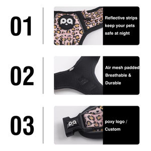 Set di Guinzaglio e Collare per Cani di Alta Qualità in Neoprene e Oxford, Regolabile, Lussuoso, Riflettente, Accessori Sportivi per Animali Domestici - Product Image 6