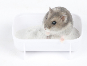 Bain de sable pour hamster multifonctionnel, antibactérien, écologique, personnalisable, 4 parfums (rose, lavande, citron) pour hamsters, 500g - Product Image 6