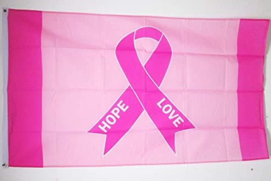 Pink Ribbon Flag2