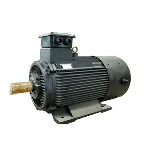 Precio barato generador de equipos industriales de alta calidad al por mayor de 1000kw Sol de YGDLF-1000 10000nm 1000rpm 690VAC CN;SHN