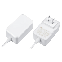 OEM ODM Usine 20V 3A 24V 2.5A AC/DC Adaptateur Alimentation PC pour CCTV LCD LED Bande Lumineuse Bureau Source D'alimentation À Commutation