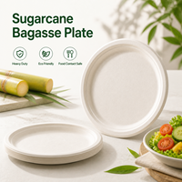Assiettes jetables rondes en bagasse de canne à sucre, biodégradables et compostables, robustes, pour mariages, fêtes et traiteurs (vente en gros)